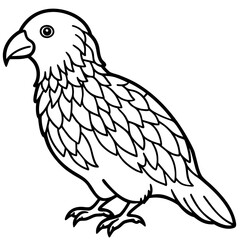 Kakapo line art vector