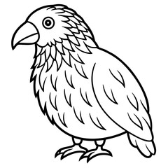 Kakapo line art vector