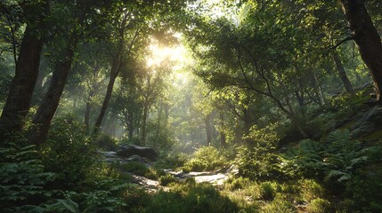 Fototapeta premium Sunlit Forest Path, Lush Green Trees, Tranquil Nature Scene stock image