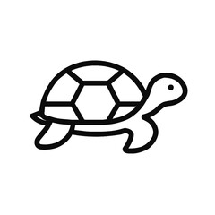 vector illustration of turtle