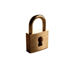 Close-up of a golden padlock (2)