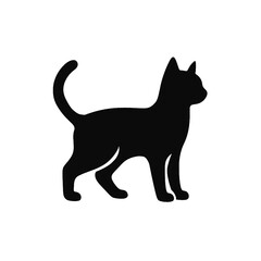 black cat on white background