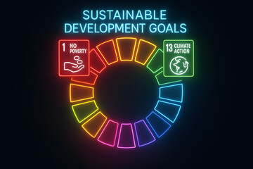 Neon United Nations Sustainable Development Goals SDGs Infographic for Global Policy
