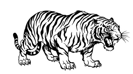 tiger vector illustration