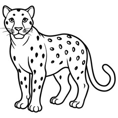 Snow leopard vector