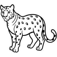 Snow leopard vector