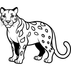 Snow leopard vector