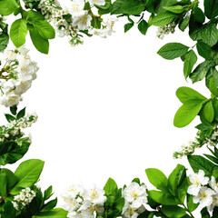 Spring blossoms frame (1)