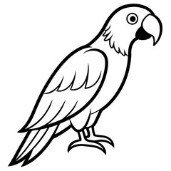 parrot line art vector