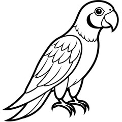 parrot line art vector