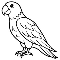 parrot line art vector