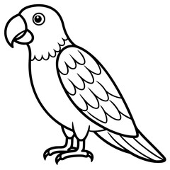parrot line art vector
