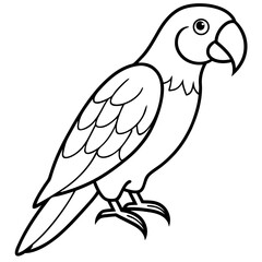 parrot line art vector