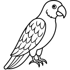 parrot line art vector