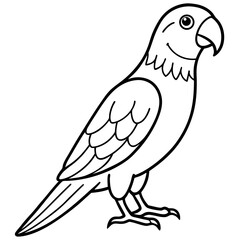 parrot line art vector