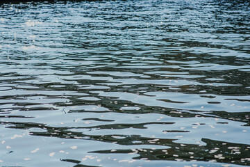 水の流れ　光の反射