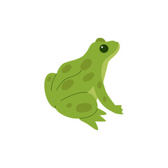 Cartoon Reptiles and Amphibians Illustration 