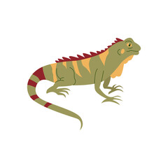 Cartoon Reptiles and Amphibians Illustration 