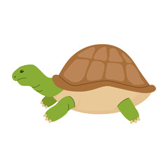 Cartoon Reptiles and Amphibians Illustration 