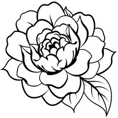 Peony art vector