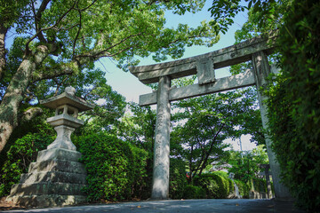日本　神社　鳥居