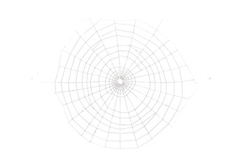 Obraz premium Circular spiderweb pattern isolated on transparent background