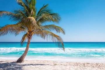 Obraz premium Tropical Paradise Palm Tree Ocean View