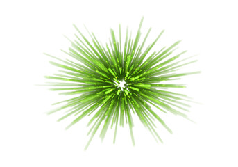 Green abstract starburst light explosion isolated on transparent background