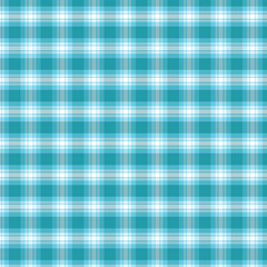 Seamless Aqua and White Checkered Texture