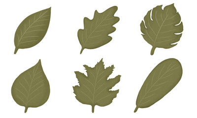 Green Leaf Elements Set Hand Painted Style with Transparent Background