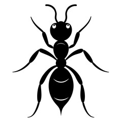 Forest Ant vector clean black silhouette design white background