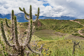 Scenic view with the circular agricultural terraces of Moray an Inca archaeological site in the...