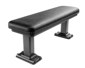 Black gym bench fitness equipment strength training padded seat exercise bench home gym modern design isolated durable comfortable