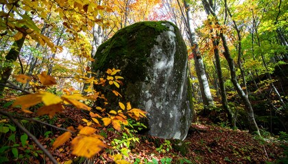 Autumnal boulder in woodland