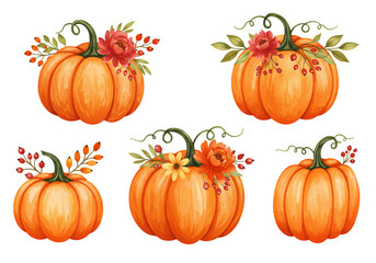 Autumn Pumpkin Collection Floral Decorated Pumpkins isolated on transparent background