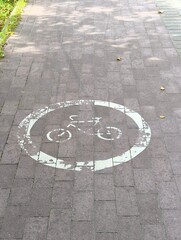 A modern urban bike path for a safe ride for cyclists. A dedicated lane for bicycles. Urban background