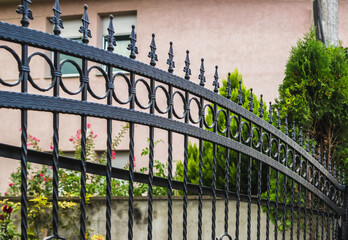 Wrought Iron Fence. Metal fence 