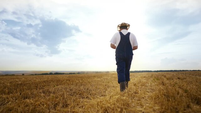 Countryman in farmland, following shot, farmer walking in gold fields in summer. Rural life and agribusiness, following back view shot with agronomist strolling in beautiful farmland, slow motion shot