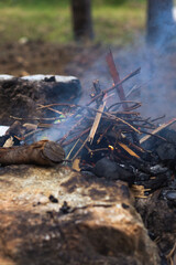 A bright campfire burning in the forest, surrounded by trees and nature. Concept of camping, wilderness survival, outdoor adventure, warmth, and cozy atmosphere in the woods.