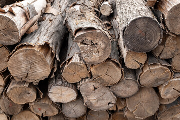 A high-angle, detailed shot of a rustic pile of freshly cut firewood logs, showcasing the natural...