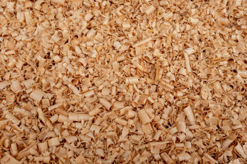 Close-up of curled wood shavings created during woodworking, showing natural texture and pattern of freshly cut timber