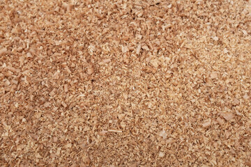 Close-up texture of natural wood shavings. Curly sawdust from carpentry and woodworking process, used for animal bedding, eco fuel, or packing material