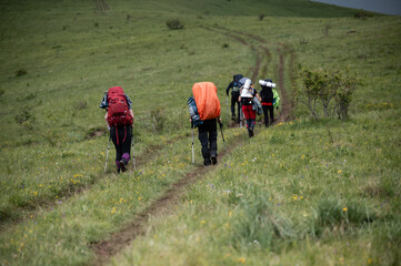 Hikers walking up green hill on hiking trail