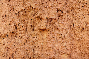 Close up view of an eroded orange rock surface creating a unique and intriguing natural texture