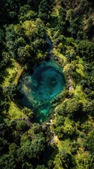 Aerial view of a vibrant turquoise pool nestled in lush forest