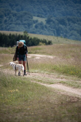 Fototapeta premium Hiker walking with dog on mountain trail: exploring nature's beauty