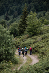 Obraz premium Hikers walking on path in mountain forest