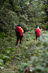 Obraz premium Hikers walking on trail in lush green forest