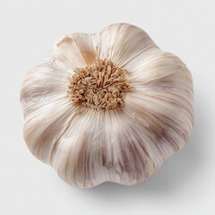 garlic bulb on white background