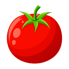 tomato vector illustration